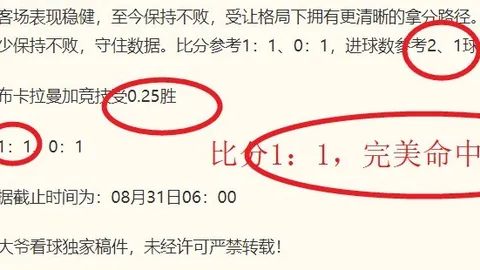 多特蒙德再传捷报：罗伊斯破门，布兰特巧传，连胜领跑德甲积分榜